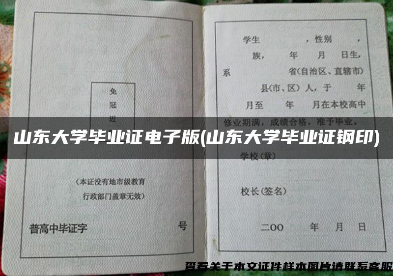 山东大学毕业证电子版(山东大学毕业证钢印)