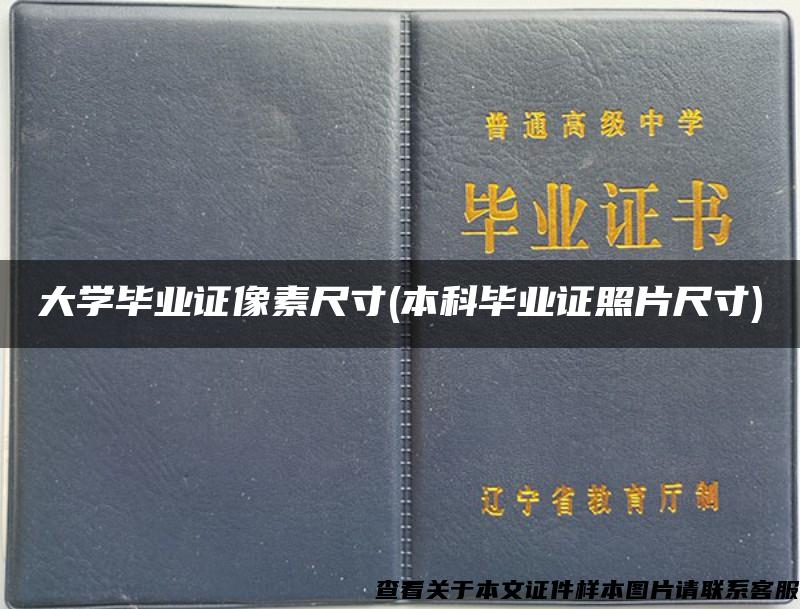 大学毕业证像素尺寸(本科毕业证照片尺寸)