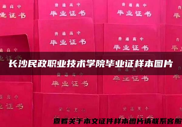 长沙民政职业技术学院毕业证样本图片