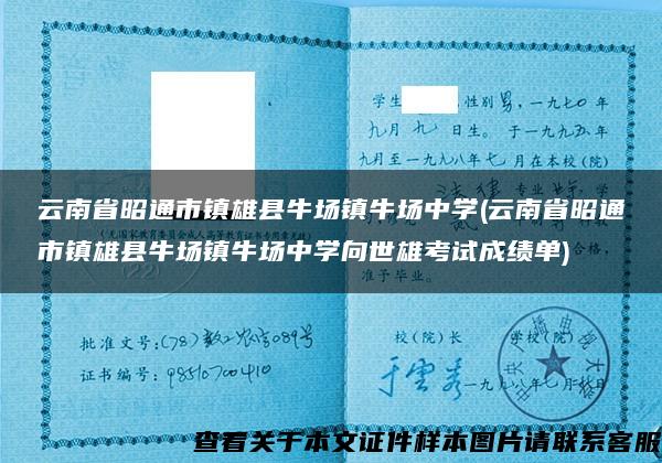 云南省昭通市镇雄县牛场镇牛场中学(云南省昭通市镇雄县牛场镇牛场中学向世雄考试成绩单)