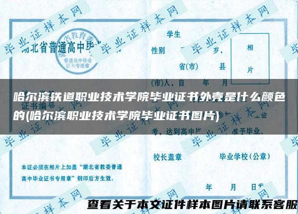 哈尔滨铁道职业技术学院毕业证书外壳是什么颜色的(哈尔滨职业技术学院毕业证书图片)