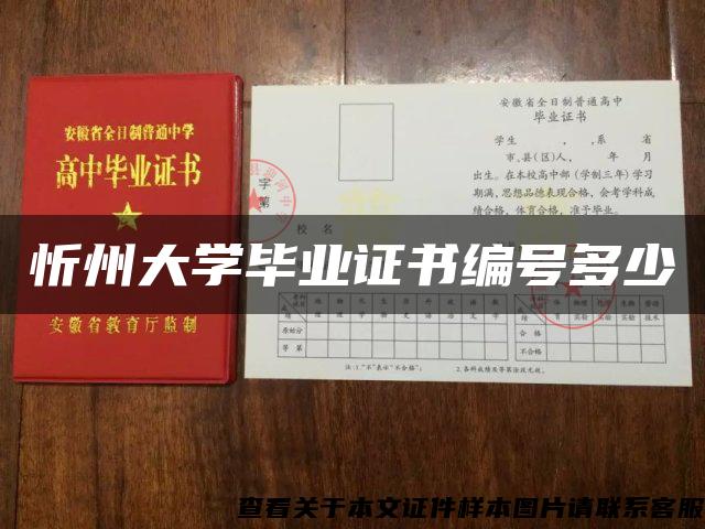 忻州大学毕业证书编号多少