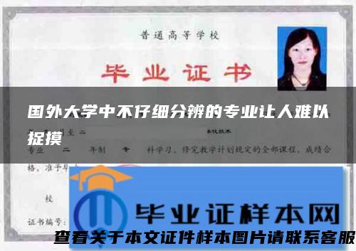 国外大学中不仔细分辨的专业让人难以捉摸