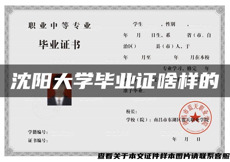 沈阳大学毕业证啥样的