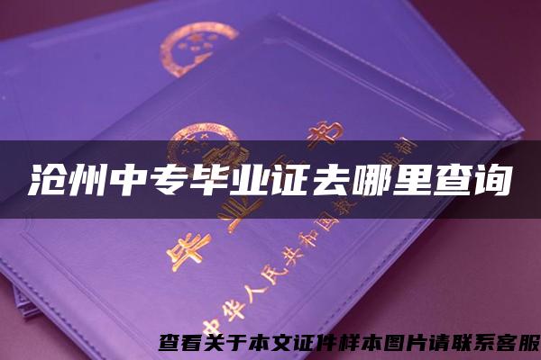 沧州中专毕业证去哪里查询