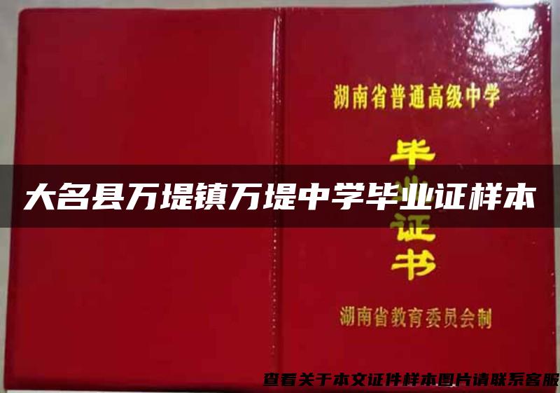 大名县万堤镇万堤中学毕业证样本