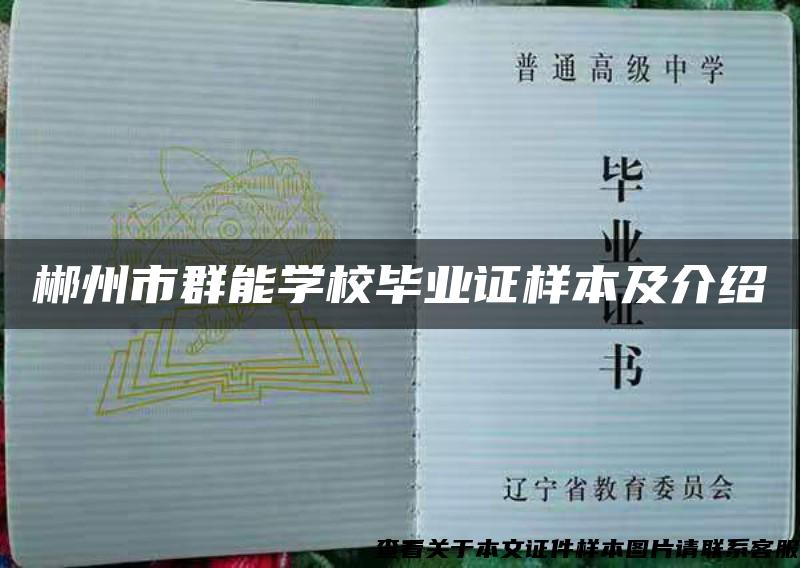 郴州市群能学校毕业证样本及介绍