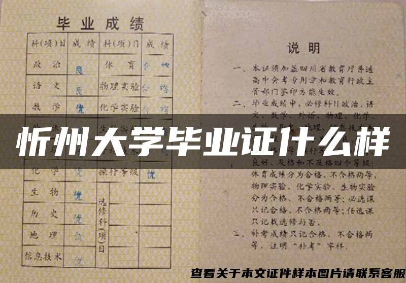 忻州大学毕业证什么样