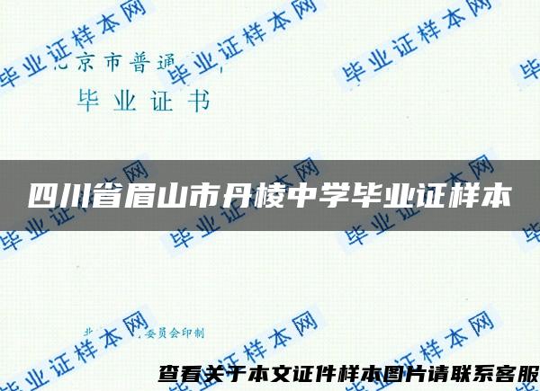 四川省眉山市丹棱中学毕业证样本