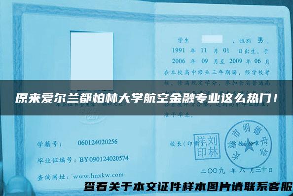 原来爱尔兰都柏林大学航空金融专业这么热门！