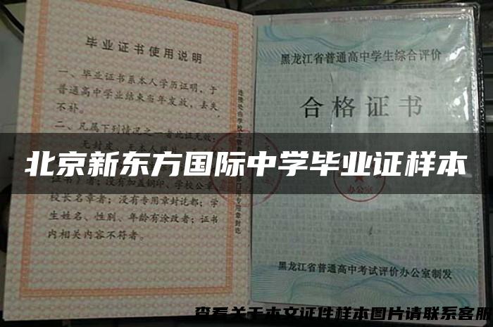 北京新东方国际中学毕业证样本