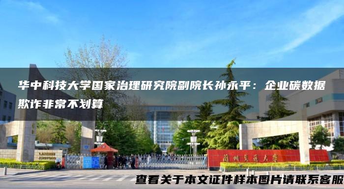 华中科技大学国家治理研究院副院长孙永平：企业碳数据欺诈非常不划算