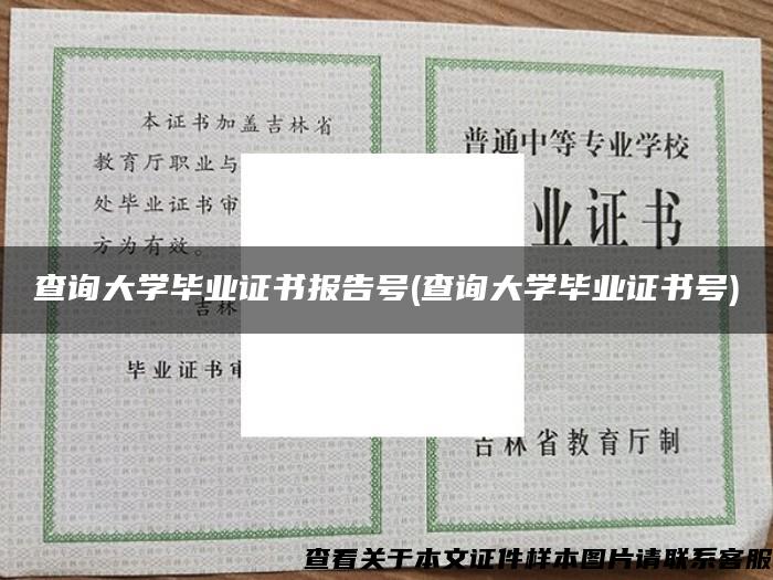 查询大学毕业证书报告号(查询大学毕业证书号)