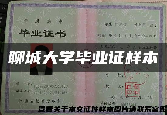 聊城大学毕业证样本