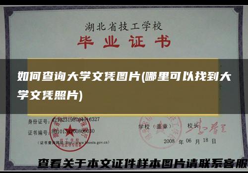 如何查询大学文凭图片(哪里可以找到大学文凭照片)