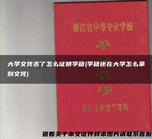 大学文凭丢了怎么证明学籍(学籍还在大学怎么拿到文凭)