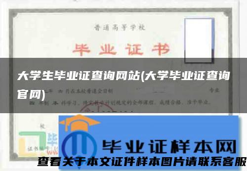 大学生毕业证查询网站(大学毕业证查询官网)