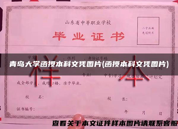 青岛大学函授本科文凭图片(函授本科文凭图片)