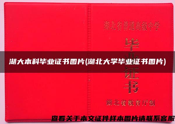 湖大本科毕业证书图片(湖北大学毕业证书图片)