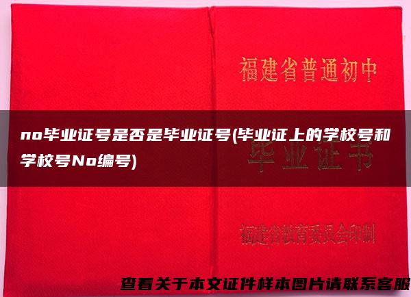 no毕业证号是否是毕业证号(毕业证上的学校号和学校号No编号)