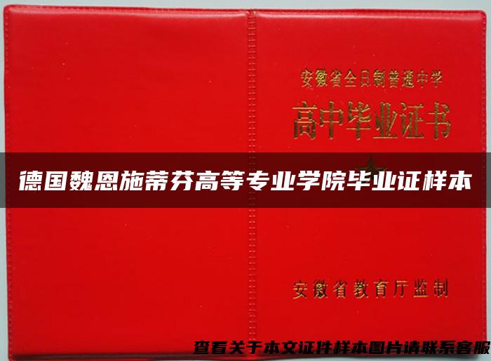 德国魏恩施蒂芬高等专业学院毕业证样本