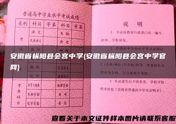 安徽省枞阳县会宫中学(安徽省枞阳县会宫中学官网)