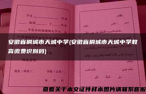 安徽省桐城市天城中学(安徽省桐城市天城中学教育缴费识别码)