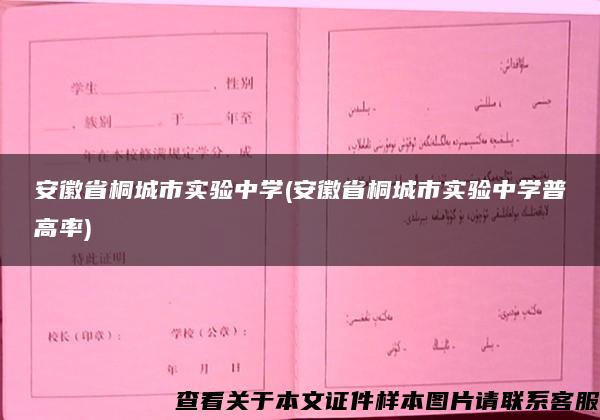 安徽省桐城市实验中学(安徽省桐城市实验中学普高率)