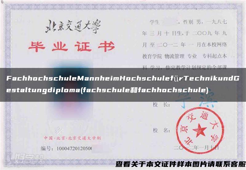 FachhochschuleMannheimHochschulefürTechnikundGestaltungdiploma(fachschule和fachhochschule)