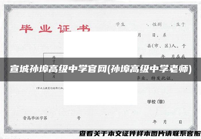 宣城孙埠高级中学官网(孙埠高级中学老师)