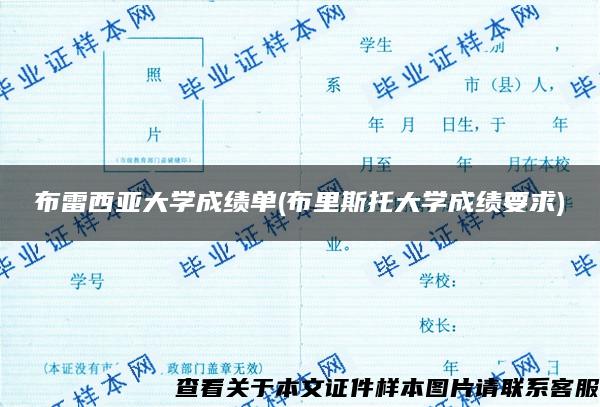 布雷西亚大学成绩单(布里斯托大学成绩要求)