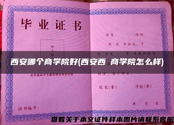 西安哪个商学院好(西安西渼商学院怎么样)