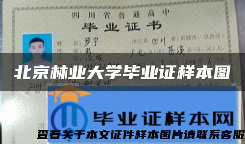 北京林业大学毕业证样本图