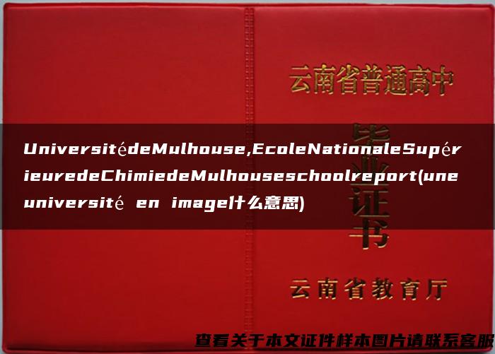 UniversitédeMulhouse,EcoleNationaleSupérieuredeChimiedeMulhouseschoolreport(une université en image什么意思)