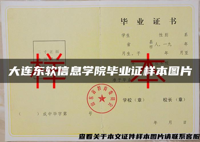 大连东软信息学院毕业证样本图片