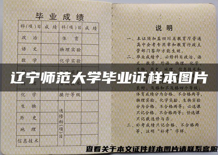 辽宁师范大学毕业证样本图片