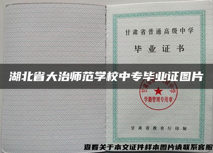 湖北省大治师范学校中专毕业证图片