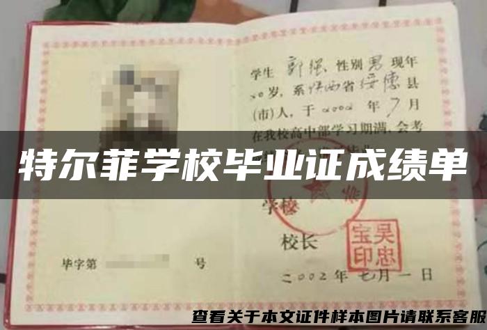 特尔菲学校毕业证成绩单