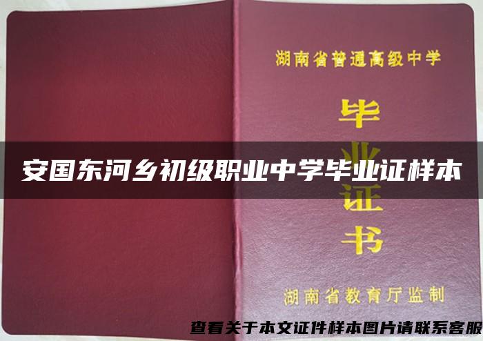 安国东河乡初级职业中学毕业证样本