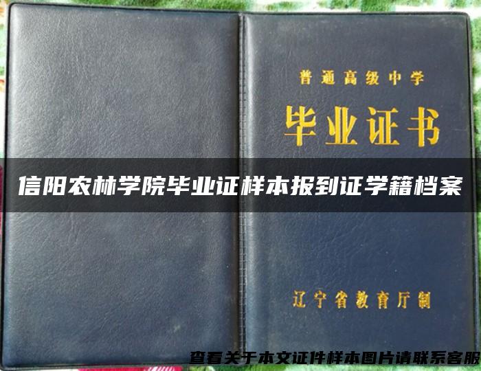 信阳农林学院毕业证样本报到证学籍档案