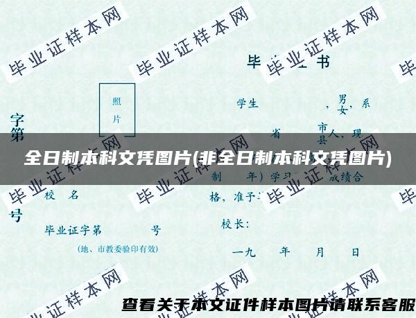 全日制本科文凭图片(非全日制本科文凭图片)