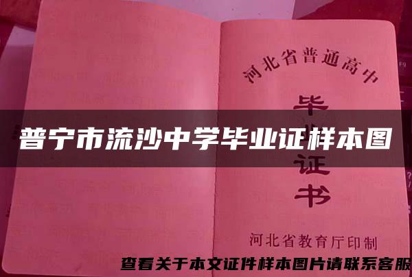 普宁市流沙中学毕业证样本图