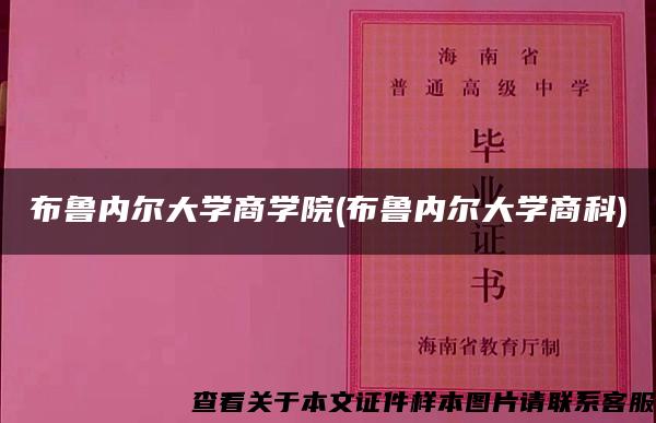 布鲁内尔大学商学院(布鲁内尔大学商科)