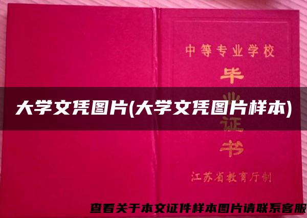 大学文凭图片(大学文凭图片样本)