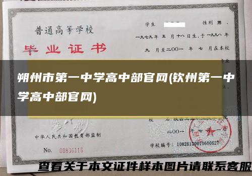 朔州市第一中学高中部官网(钦州第一中学高中部官网)