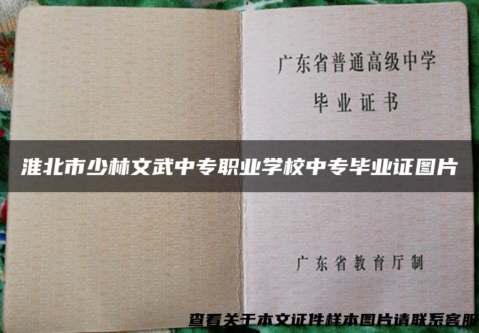 淮北市少林文武中专职业学校中专毕业证图片