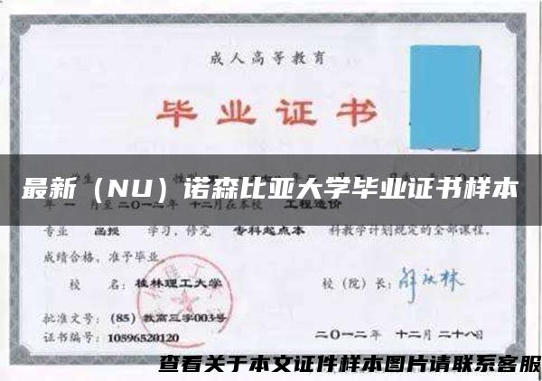 最新（NU）诺森比亚大学毕业证书样本