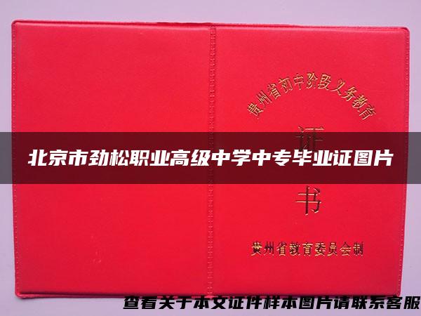 北京市劲松职业高级中学中专毕业证图片