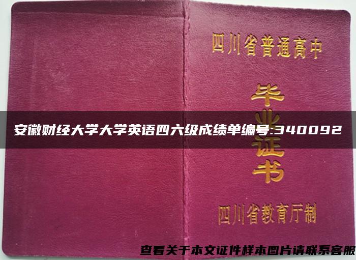 安徽财经大学大学英语四六级成绩单编号:340092