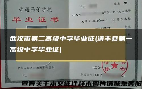 武汉市第二高级中学毕业证(清丰县第一高级中学毕业证)